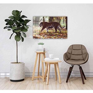 Kaplan Cam Tablo 50x70 cm