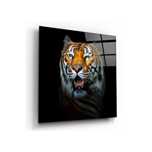 Kaplan Cam Tablo 30x30 cm