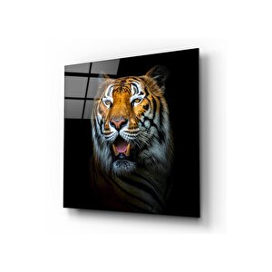 Kaplan Cam Tablo 30x30 cm