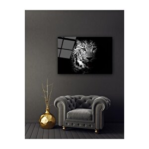 Kaplan Cam Tablo 50x70 cm