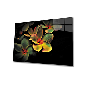 Çiçek Cam Tablo 50x70 cm