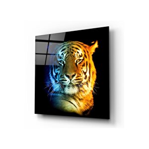 Kaplan Cam Tablo 30x30 cm