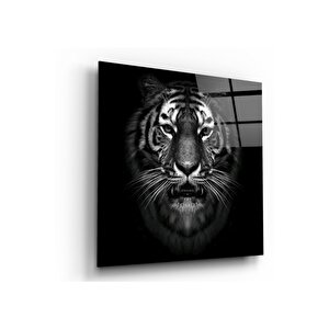 Siyah Kaplan Cam Tablo 120x120 cm