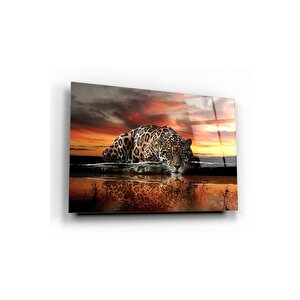 Kaplan Cam Tablo 50x70 cm