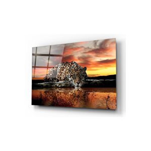 Kaplan Cam Tablo 50x70 cm