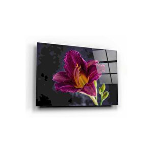 Çiçek Cam Tablo 50x70 cm