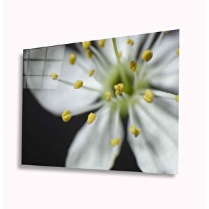 Çiçek Cam Tablo 36x23 cm