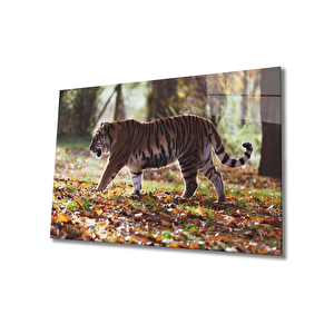 Kaplan Cam Tablo 36x23 cm