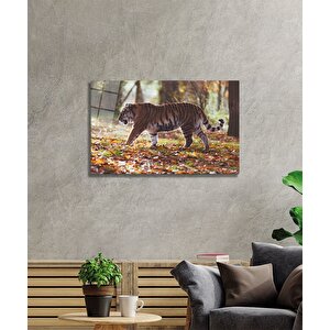 Kaplan Cam Tablo 36x23 cm