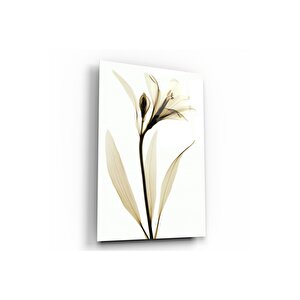 Çiçek Cam Tablo 50x70 cm