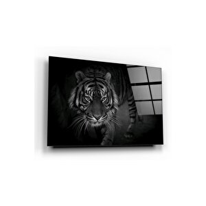 Kaplan Cam Tablo 50x70 cm