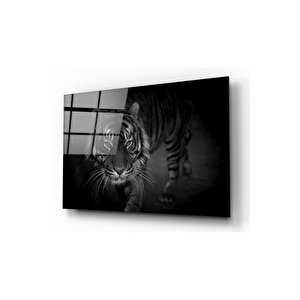 Kaplan Cam Tablo 50x70 cm