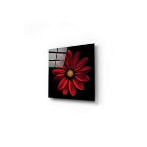 Çiçek Cam Tablo 30x30 cm