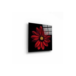 Çiçek Cam Tablo 30x30 cm