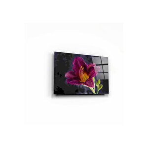 Çiçek Cam Tablo 50x70 cm
