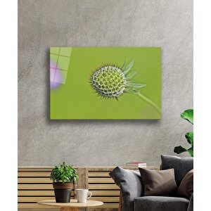 Yeşil Bitki Çiçek Cam Tablo 50x70 cm