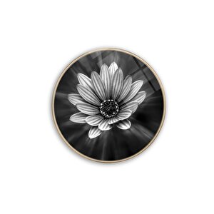 Çiçek Yuvarlak Cam Tablo 50x50 cm