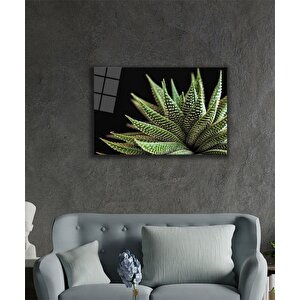 Siyah Arka Fon Aleovera Çiçekcam Tablo 110x70 cm