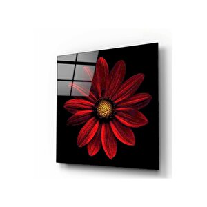 Çiçek Cam Tablo 30x30 cm