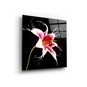 Çiçek Cam Tablo 50x50 cm