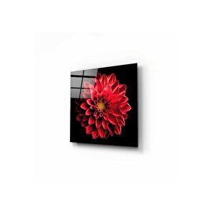 Çiçek Cam Tablo 50x50 cm