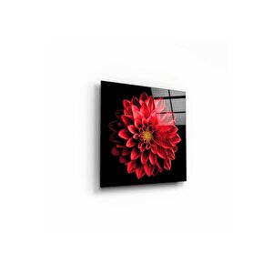 Çiçek Cam Tablo 50x50 cm