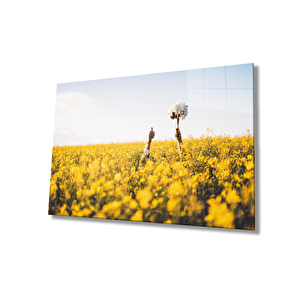 Çiçek Tarlasında Aşk Gelin Çiçeği Cam Tablo 50x70 cm