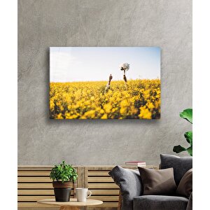 Çiçek Tarlasında Aşk Gelin Çiçeği Cam Tablo 50x70 cm