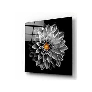 Çiçek Cam Tablo 50x50 cm