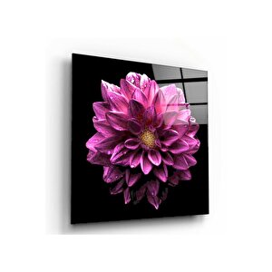 Pembe Çiçek Cam Tablo 80x80 cm