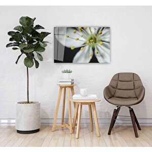 Çiçek Cam Tablo 50x70 cm