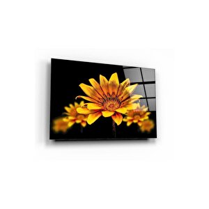 Çiçek Cam Tablo 60x90 cm
