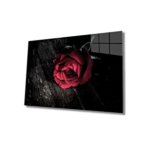 Kırmızı Çiçek İllüstrasyon Cam Tablo 50x70 cm