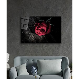 Kırmızı Çiçek İllüstrasyon Cam Tablo 50x70 cm