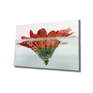 Suda Kırmızı Çiçek Cam Tablo Red Flower 36x23 cm