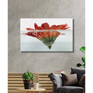 Suda Kırmızı Çiçek Cam Tablo Red Flower 36x23 cm