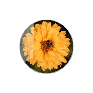 Çiçek Yuvarlak Cam Tablo 4mm Dayanıklı Temperli Cam 30x30 cm