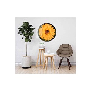 Çiçek Yuvarlak Cam Tablo 4mm Dayanıklı Temperli Cam 60x60 cm
