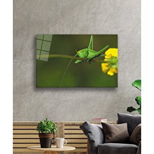 Sarı Çiçek Yeşilçekirge Cam Tablo 36x23 cm