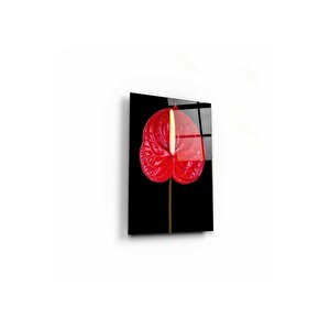 Çiçek Cam Tablo 50x70 cm
