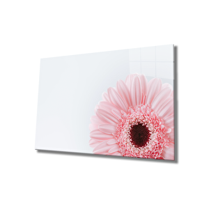 Çiçek İllüstrasyon Cam Tablo Flower Illustration Art 50x70 cm