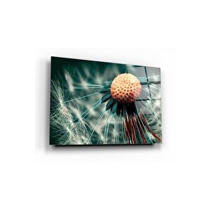 Çiçek Cam Tablo 50x70 cm