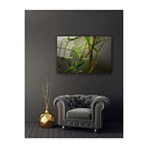 Yapraklar Cam Tablo 50x70 cm