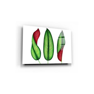 Minimal Yapraklar Cam Tablo 50x70 cm
