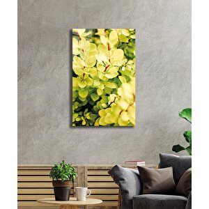 Sarı Yeşil Yapraklar Bitki Cam Tablo Green Yellow Nature 36x23 cm