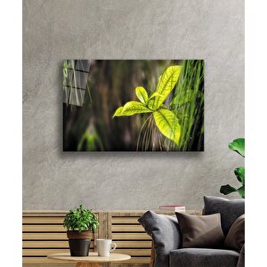 Yeşil Yapraklar Cam Tablogreen Leaves 50x70 cm