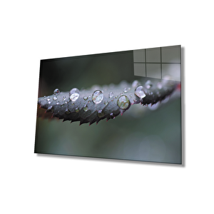 Su Damlaları Yeşil Yapraklar 50x70 cm