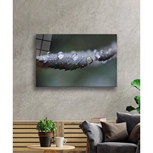 Su Damlaları Yeşil Yapraklar 50x70 cm