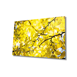 Sarı Yeşil Yapraklar Cam Tablo 90x60 cm