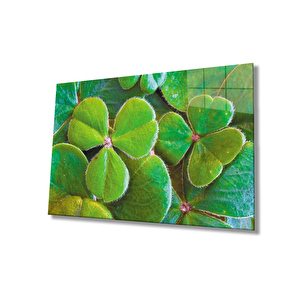 Üç Yapraklı Yonca Yeşil Cam Tablo 90x60 cm
